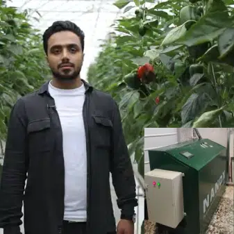 گلخانه مهندس مصطفی گواهی