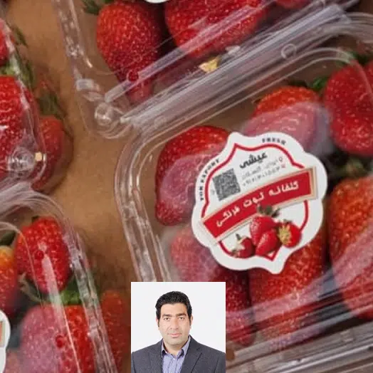 گلخانه توت فرنگی آقای عیشی با نانوحباب سراج